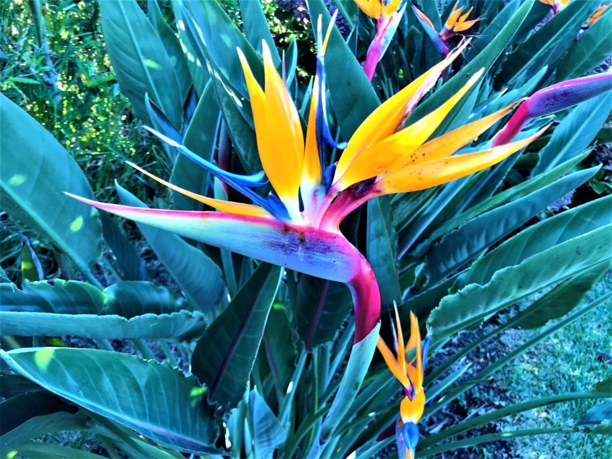 Surf Beach_Santa Barbara Secret Gardens ฮิเบย์รา กรันเจ ภายนอก รูปภาพ